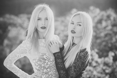 Kontrastlı ve karşıtların kavramı