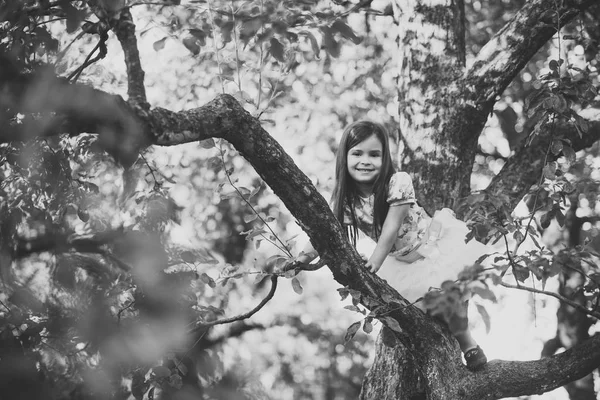 Gyermek gyermekkori gyermekek boldogság fogalmát. Gyermek mosolyog a fa ága, gyermekkori — Stock Fotó