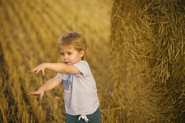 Παιδική ηλικία. Αγόρι στο δέμα σανού, καλοκαίρι — Φωτογραφία Αρχείου