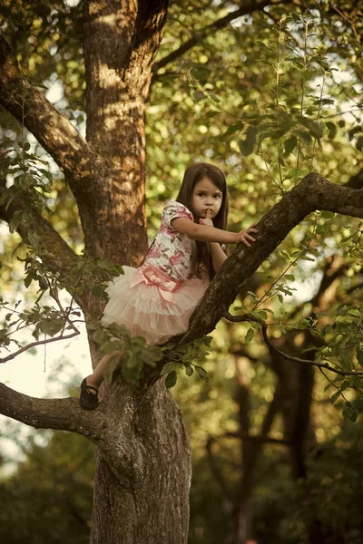 Childhood. Child climb tree branch in summer garden, secret or silence — Stock Photo, Image