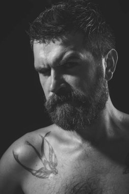 Yakışıklı adam yüz. ciddi yüz uzun sakallı