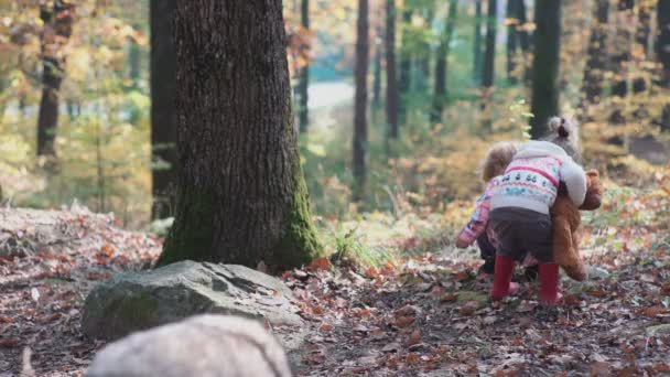 Маленький хлопчик і дівчинка на природі, ліс, ліс. Щаслива родина, що гуляє з собакою у лісі. Щаслива маленька дівчинка весело грає з опалим золотим листям — стокове відео