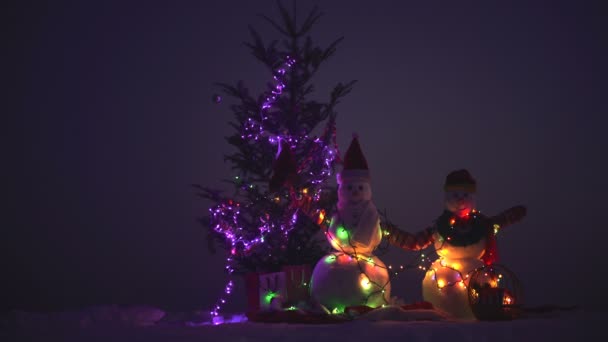 Due pupazzi di neve - Una bella coppia. Pupazzo di neve con la sciarpa. Buon Natale. Ciao. — Video Stock