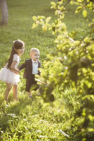 Niños activos juegan en el día de verano, actividad —  Fotos de Stock