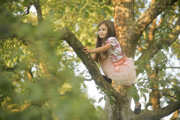 Felice bambino giocare in giardino su albero — Foto Stock