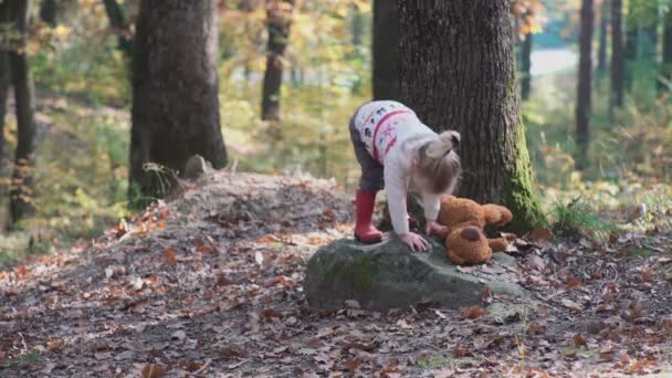 Bedårande liten flicka vandring i skogen sommardag. Lyckligt barn flicka i skogen. Liten unge spelar i hösten på den natur promenaden. Lycklig familj promenader med hunden i skogen. — Stockvideo