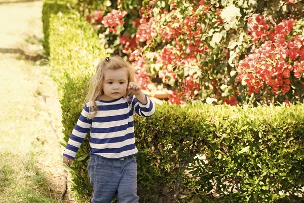Muchacho gracioso. Niño pequeño con cara seria de pie cerca del arbusto — Foto de Stock
