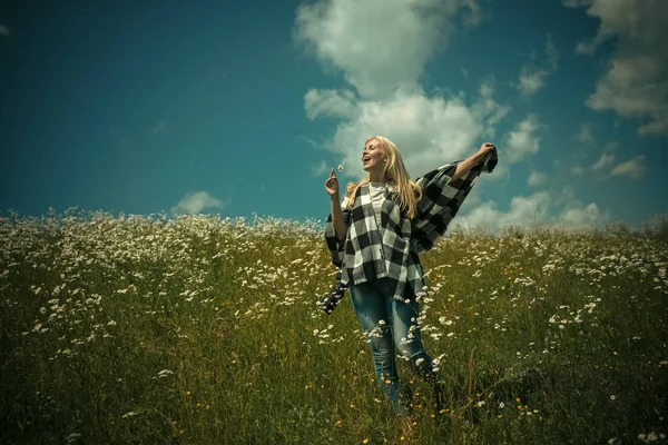 Nyári paradicsoma. gyönyörű lány póló a százszorszép virág mező — Stock Fotó