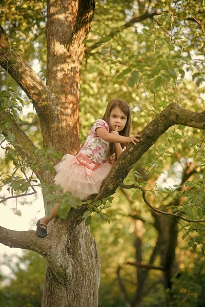 L'infanzia. Bambino di moda in vestito alla moda si nascondono su albero, segretezza — Foto Stock