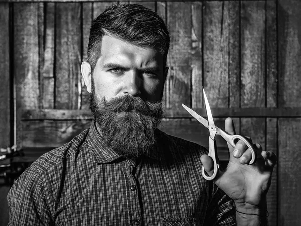 Перукарня. Стиль волосся. бородатий чоловік перукар з ножицями — стокове фото