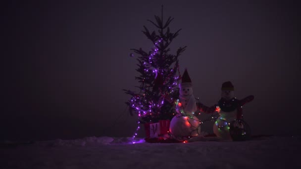 Joyeux Noël et bonne année. Deux bonhomme de neige joyeux debout dans le paysage de Noël d'hiver — Video