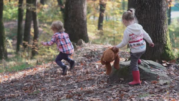 Bedårande liten flicka vandring i skogen sommardag. Lyckligt barn flicka i skogen. Liten unge spelar i hösten på den natur promenaden. Lycklig familj promenader med hunden i skogen. — Stockvideo