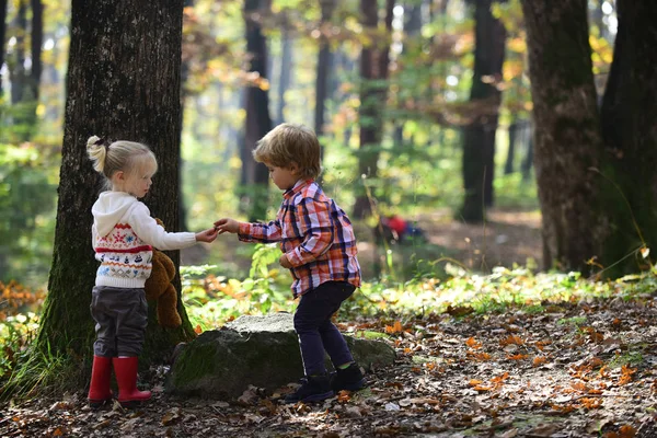 소년과 유년기와 형제와 자매는 신선한 공기에 재미가 어린이을 숲에서 재생할 — 스톡 사진