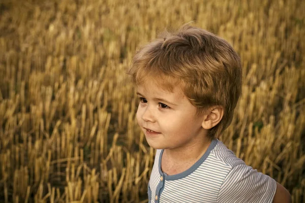 Kids enyoj happy day. Little boy with cute face, blond hair on cut grass — Stock Photo, Image