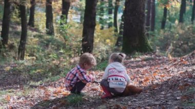 Sevimli küçük kız ormanda yaz gününde hiking. Ormandaki kız mutlu çocuk. Doğa yürüyüş sonbaharda oynayan küçük çocuk. Mutlu aile ile ormanda köpek yürüyüş.