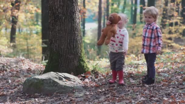 Adorable little girl hiking in the forest on summer day. Happy child girl in forest. Little kid playing in the autumn on the nature walk. Happy family walking with dog in the forest. — Stock Video