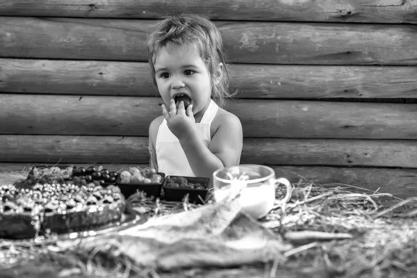 Kid enjoing zijn maaltijd. Schattige kleine jongen eet bessen — Stockfoto