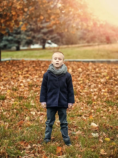 Genç öncü. Eşarp çocuk ve kat.