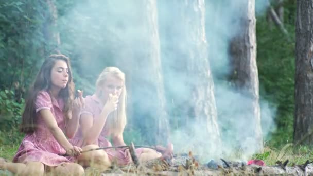 Две молодые девушки в стиле булавки веселятся на пикнике в парке на закате. Лето, каникулы, отпуск, счастливые люди - улыбающиеся подруги. Подружки на пикнике . — стоковое видео
