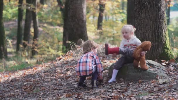 Entzückendes kleines Mädchen, das an einem Sommertag im Wald wandert. glückliches Kind Mädchen im Wald. Kleines Kind spielt im Herbst auf dem Naturspaziergang. glückliche Familie geht mit Hund im Wald spazieren. — Stockvideo