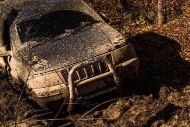 Kirli offroad araba ile düşmek orman arka plan üzerinde.