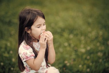 Çocuk zevk ile bir elma yiyor. Çocuk, sağlıklı beslenme diyet yiyecek