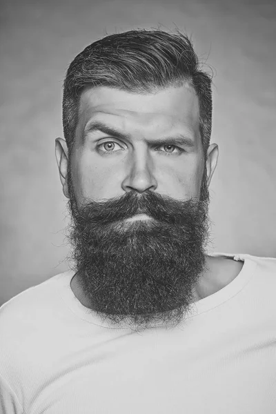 El peinado de estilo de la barba. Hombre barbudo en el estudio —  Fotos de Stock