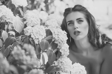 Ortanca olan kadın. Portre çekici kadın ve mavi çiçek