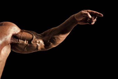 steel muscles. Hand with veins, muscles, biceps, triceps point finger clipart