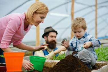 Sera Hydroponic sistemi. Yeşil ev yapı fabrika, imal ve inşa. Glasshouse Restoran, Glasshouse Megastore. Mutlu aile Bahçe seralar içinde. Bahçe sera kitleri.