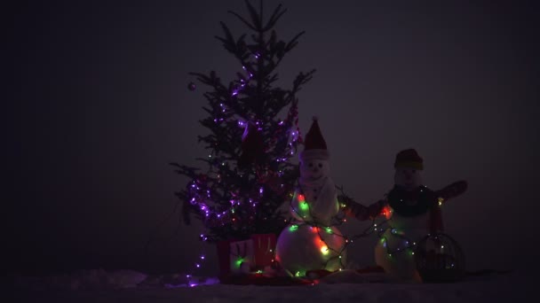 Happy New Year with Snowman. Snowmans happy couple. Snowmans celebration — Stock Video