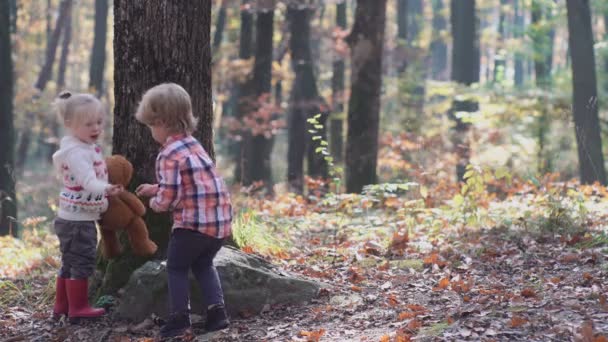 Un niño y una niña en la naturaleza, bosques, bosques. Familia feliz paseando con el perro en el bosque. Feliz niña se divierten jugando con hojas doradas caídas — Vídeos de Stock