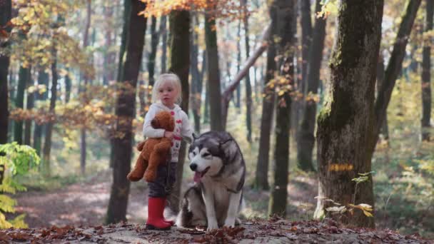 Dziewczyna i pies. Piękna kobieta, grając z psem. Dziecko i pies. Dziewczyna bawi się pies w lesie. Dziewczynka z husky w lesie. Dziewczyna gra z jej husky w parku. — Wideo stockowe