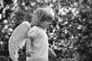 Genç aşk tanrısı. melek kanatları küçük çocuk