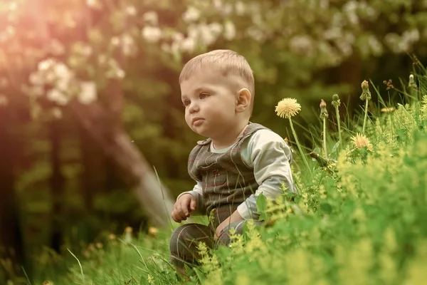 Atividade externa saudável. Feliz conceito de infância. Criança no parque com flores de dente-de-leão florescentes e árvores — Fotografia de Stock