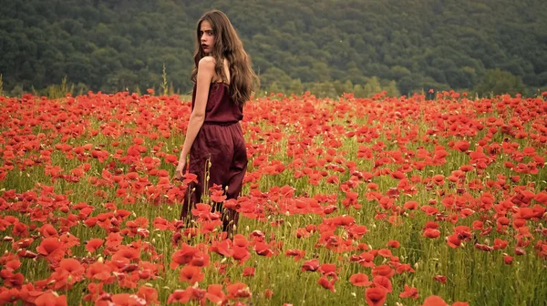 Mulher no campo de flores de papoula, colheita Beleza verão primavera semente de papoula. Droga e amor intoxicação, ópio, medicinal . — Fotografia de Stock