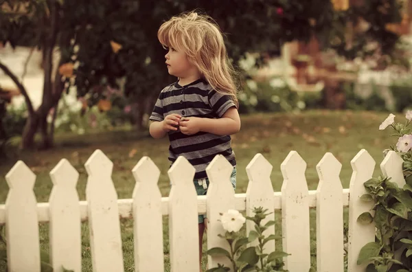 El verano está fuera de la ciudad. niño o niño pequeño al aire libre cerca de una cerca de madera blanca — Foto de Stock
