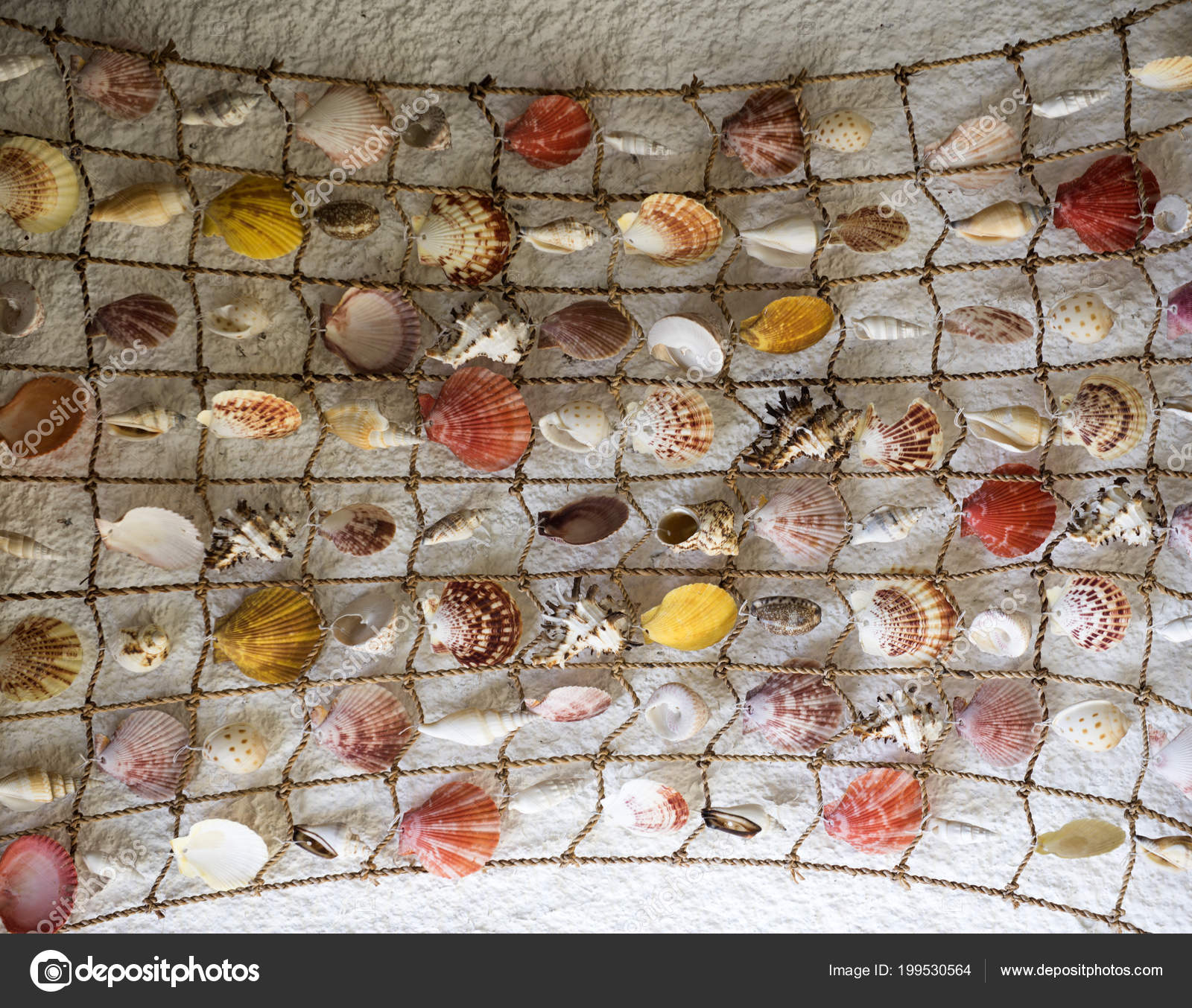 Fishing Net With Seashells Network With Beautiful Seashells As