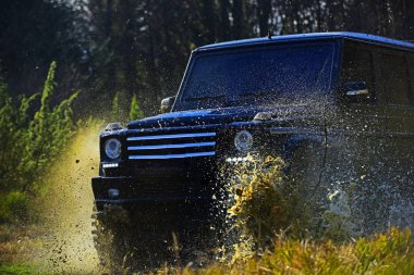 Aşırı, meydan okuma ve 4 x 4 araç konsepti. Ormanda yarış araba. SUV veya offroad araba yolda su birikintisi su sıçrama ile geçiş çim kaplı. Offroad yarış doğa arka plan üzerinde