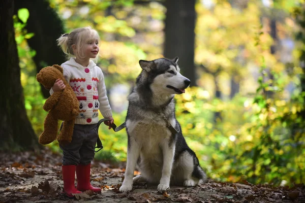 Hund och liten flicka i höstskogen. Hund kram med barn på frisk luft utomhus — Stockfoto