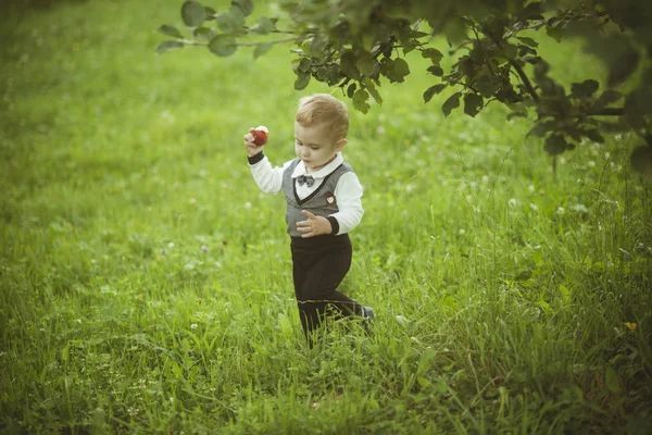 Niño con fruta de manzana en el jardín salud —  Fotos de Stock