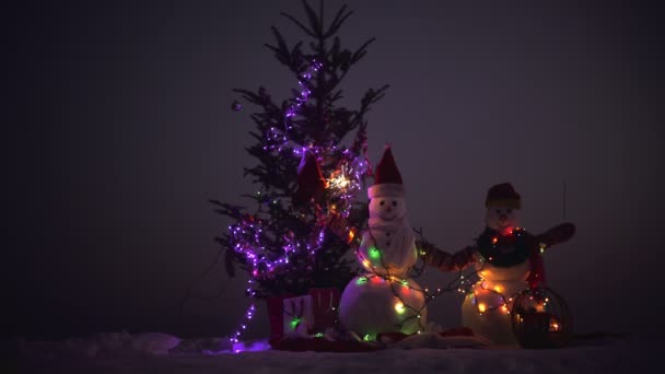 Snow man with Christmas gift on snow. Two snow men standing in winter Christmas landscape — Stock Video