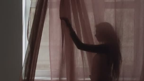 Sensual woman dancing behind the tulle. Womans silhouette dancing. Dance performance. — Stock Video
