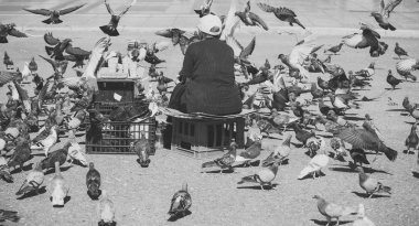 Besleme Birds büyük şehir merkezinde eski bir yalnız kadın. Güvercin besleme. Yaşlı kadın sokakta güvercin besleme. Nezaket kavramı