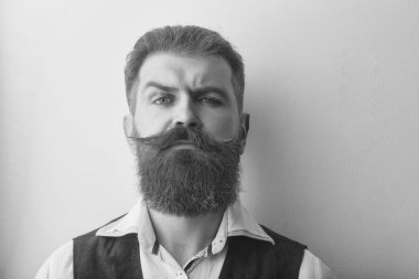 sakal bakımı. sakallı adam, acımasız beyaz hipster ciddi bir yüz ile