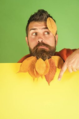Sonbahar indirimler. Hipster veya yeşil zemin üzerine sonbaharda sakallı adam.