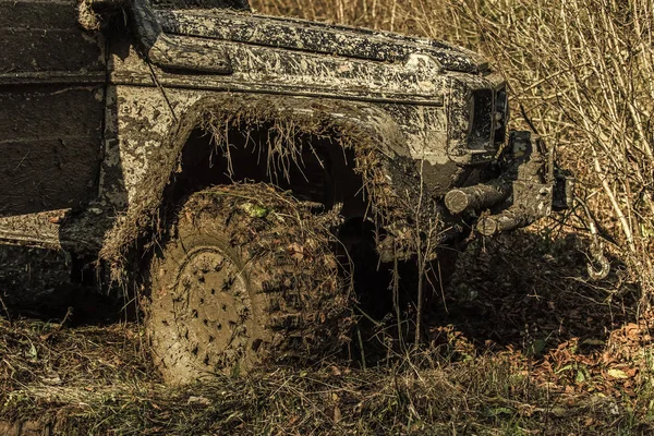 Off-road versenyautók. Őszi természet háttér autó töredéke. — Stock Fotó