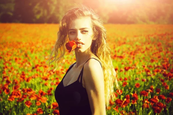 love of drugs. woman in field of poppy seed