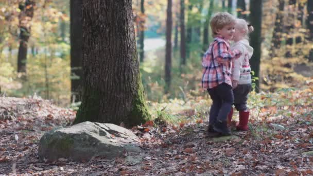 Primo amore. Bambini nella foresta. Bambini nella foresta. Ragazza e ragazzo che giocano nella foresta. Autunno. Bambini felici che camminano nella foresta . — Video Stock