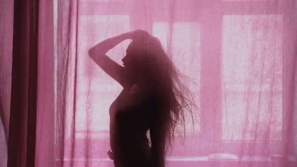 Womans silhouette dancing. Sensual woman dancing behind the tulle. Dance performance. — Stock Video